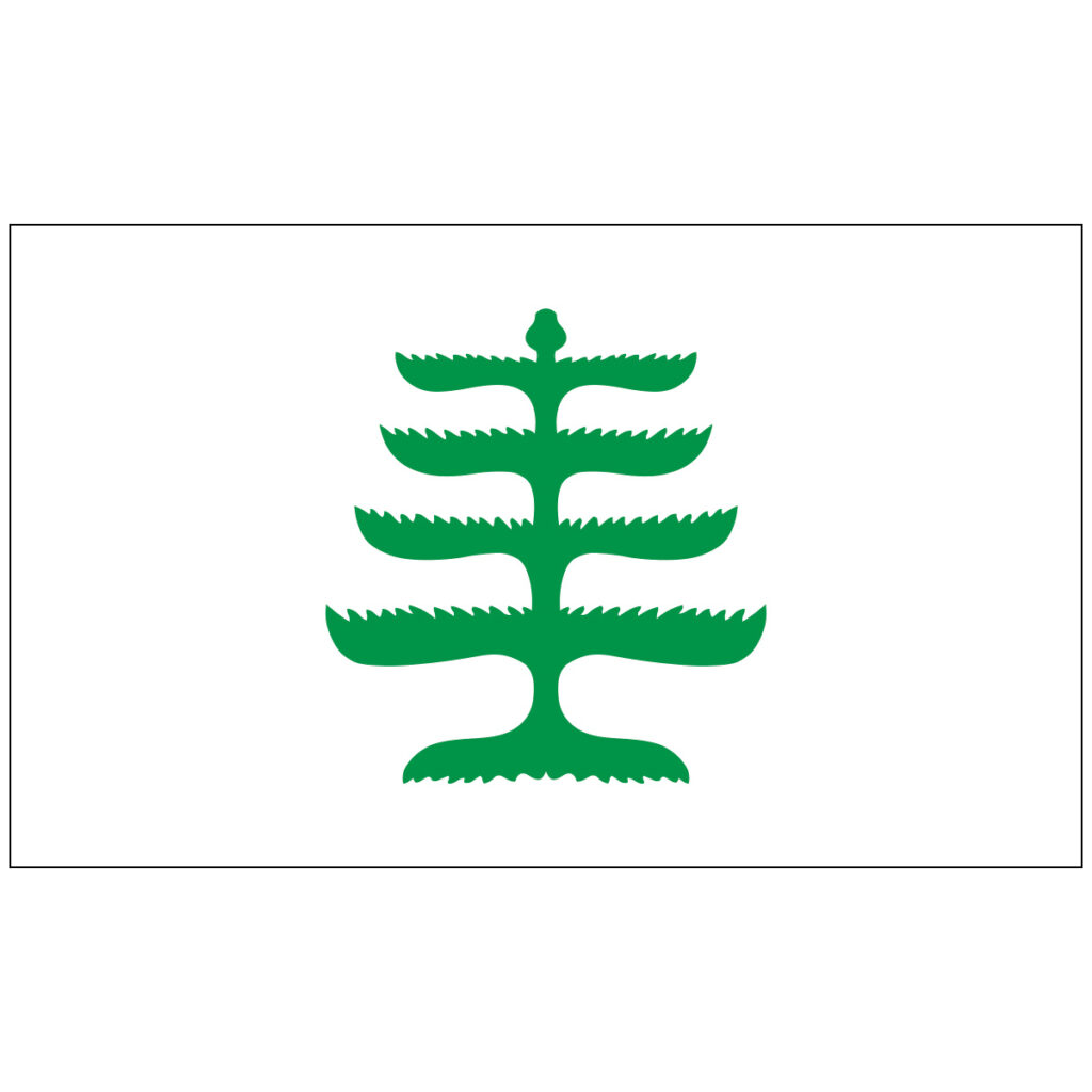 060574 3x5 pine tree flag image