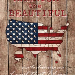 america the beautiful map house flag