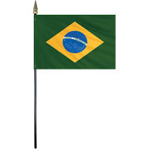 brazil 4"x6" stick flag