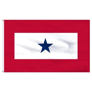 blue star service flag 3'x5' nyl glo