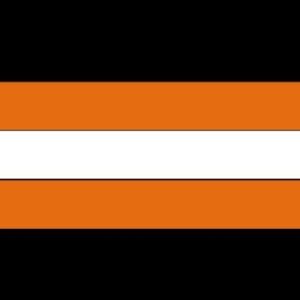 dpw 3'x5' outdoor nylon flag